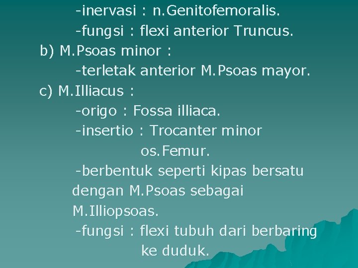 -inervasi : n. Genitofemoralis. -fungsi : flexi anterior Truncus. b) M. Psoas minor :