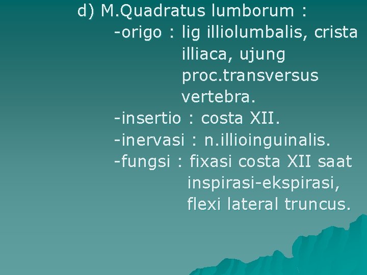 d) M. Quadratus lumborum : -origo : lig illiolumbalis, crista illiaca, ujung proc. transversus