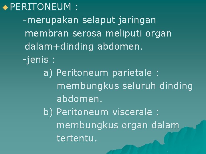 u PERITONEUM : -merupakan selaput jaringan membran serosa meliputi organ dalam+dinding abdomen. -jenis :