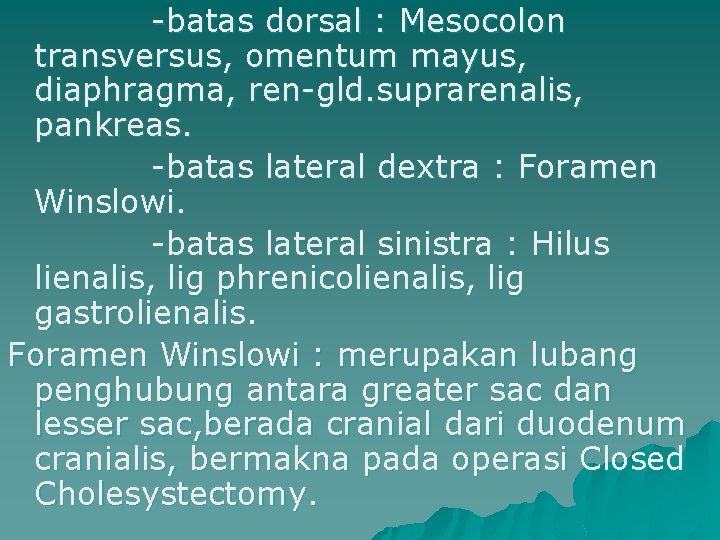 -batas dorsal : Mesocolon transversus, omentum mayus, diaphragma, ren-gld. suprarenalis, pankreas. -batas lateral dextra