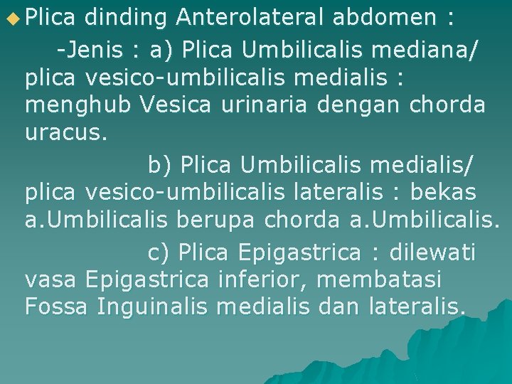 u Plica dinding Anterolateral abdomen : -Jenis : a) Plica Umbilicalis mediana/ plica vesico-umbilicalis