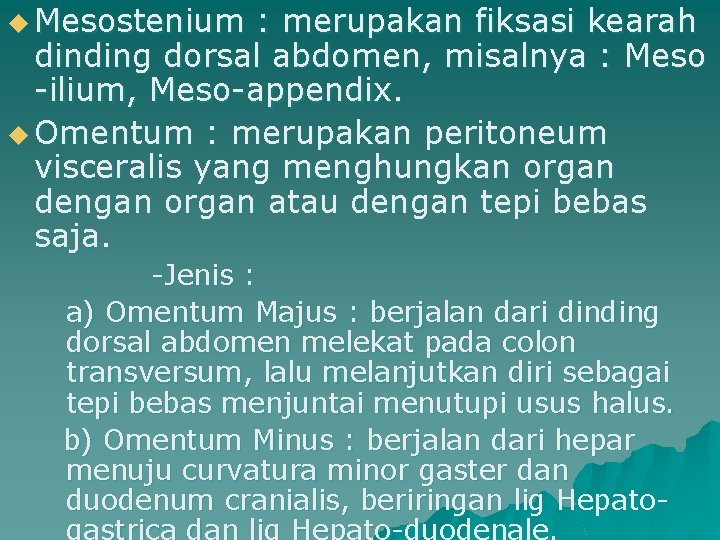 u Mesostenium : merupakan fiksasi kearah dinding dorsal abdomen, misalnya : Meso -ilium, Meso-appendix.