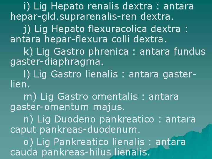 i) Lig Hepato renalis dextra : antara hepar-gld. suprarenalis-ren dextra. j) Lig Hepato flexuracolica