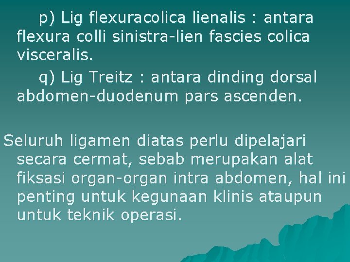 p) Lig flexuracolica lienalis : antara flexura colli sinistra-lien fascies colica visceralis. q) Lig