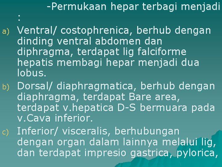 -Permukaan hepar terbagi menjadi a) b) c) : Ventral/ costophrenica, berhub dengan dinding ventral