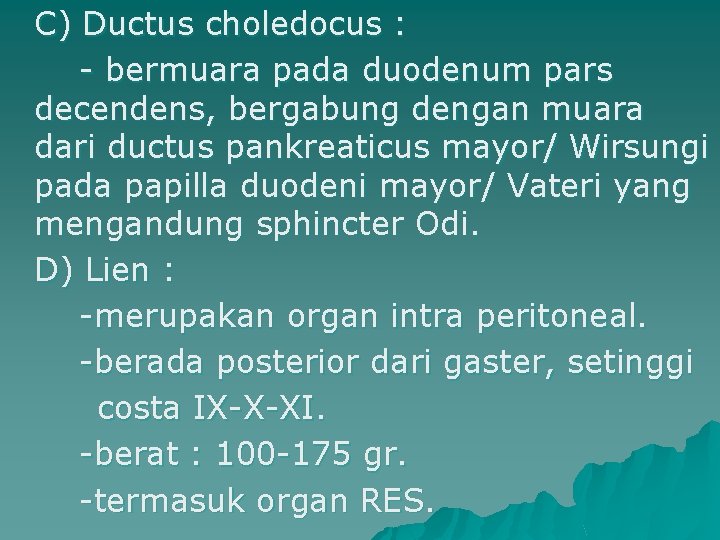 C) Ductus choledocus : - bermuara pada duodenum pars decendens, bergabung dengan muara dari