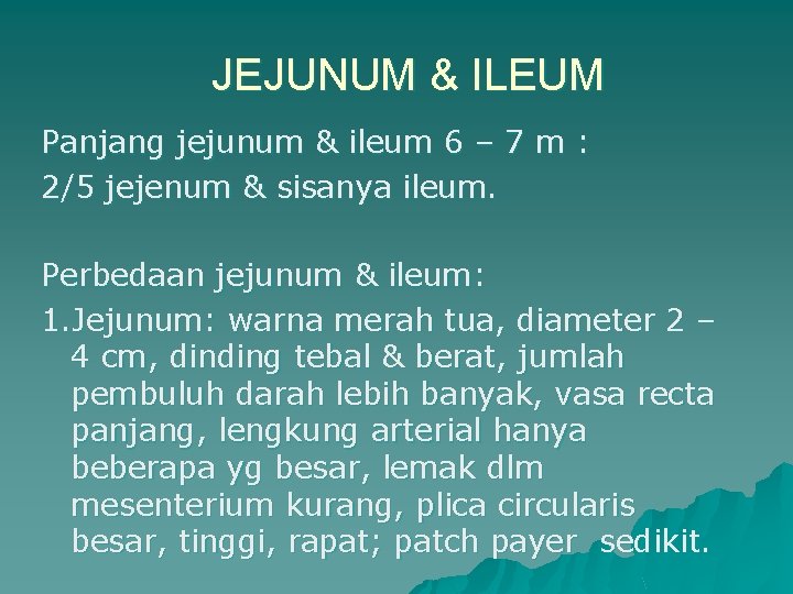 JEJUNUM & ILEUM Panjang jejunum & ileum 6 – 7 m : 2/5 jejenum