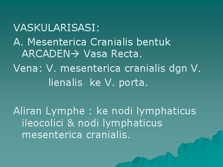 VASKULARISASI: A. Mesenterica Cranialis bentuk ARCADEN Vasa Recta. Vena: V. mesenterica cranialis dgn V.