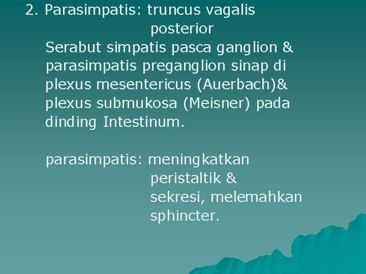 2. Parasimpatis: truncus vagalis posterior Serabut simpatis pasca ganglion & parasimpatis preganglion sinap di