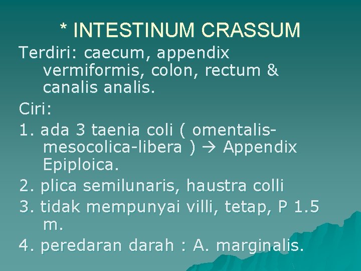 * INTESTINUM CRASSUM Terdiri: caecum, appendix vermiformis, colon, rectum & canalis. Ciri: 1. ada