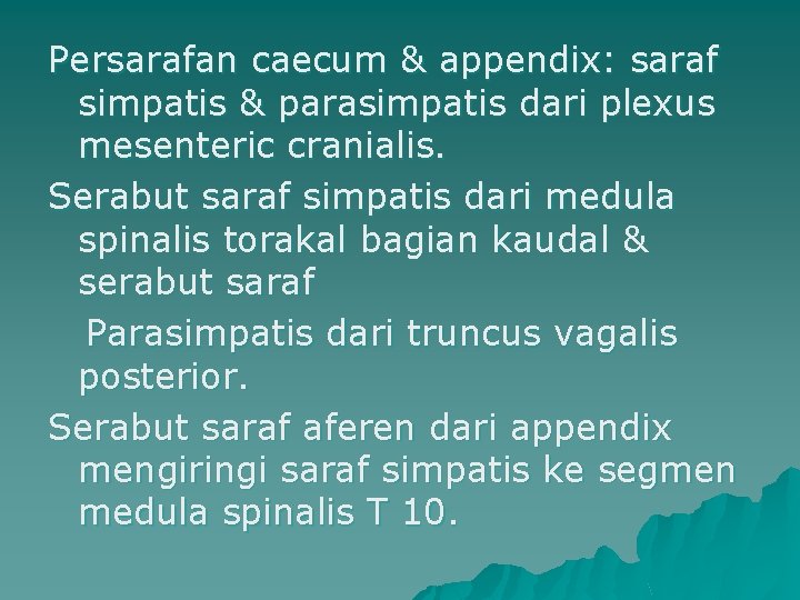 Persarafan caecum & appendix: saraf simpatis & parasimpatis dari plexus mesenteric cranialis. Serabut saraf