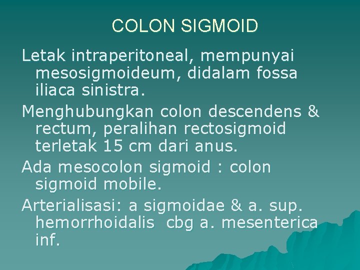 COLON SIGMOID Letak intraperitoneal, mempunyai mesosigmoideum, didalam fossa iliaca sinistra. Menghubungkan colon descendens &