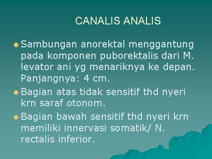 CANALIS u Sambungan anorektal menggantung pada komponen puborektalis dari M. levator ani yg menariknya