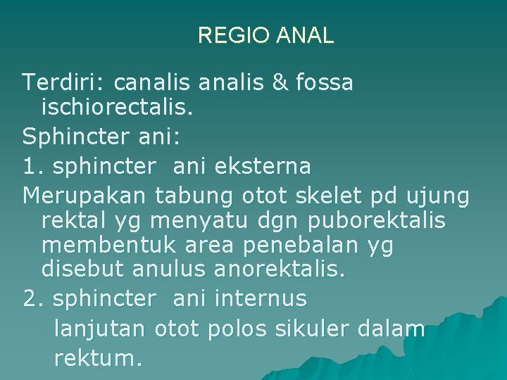 REGIO ANAL Terdiri: canalis & fossa ischiorectalis. Sphincter ani: 1. sphincter ani eksterna Merupakan