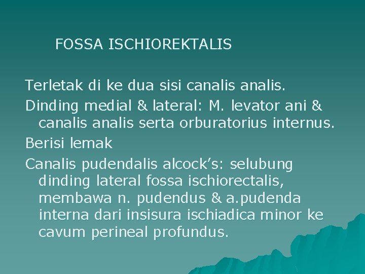 FOSSA ISCHIOREKTALIS Terletak di ke dua sisi canalis. Dinding medial & lateral: M. levator