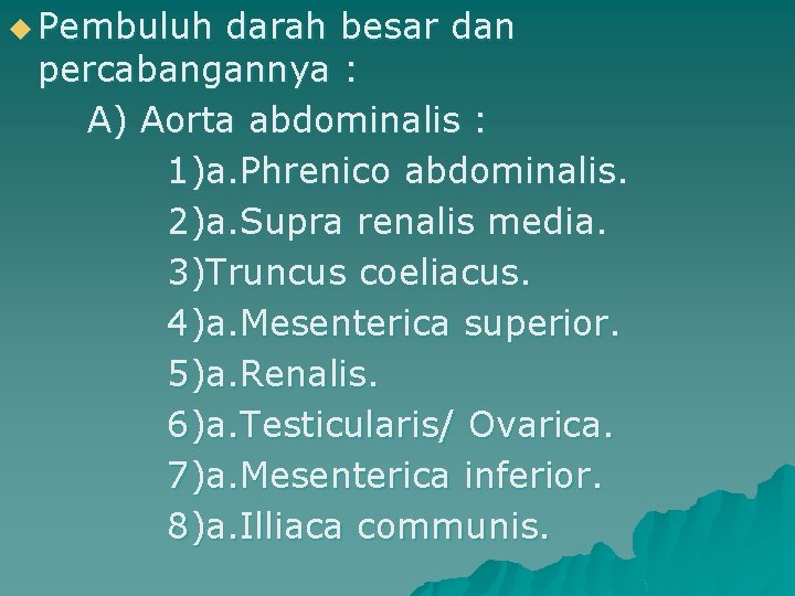 u Pembuluh darah besar dan percabangannya : A) Aorta abdominalis : 1)a. Phrenico abdominalis.