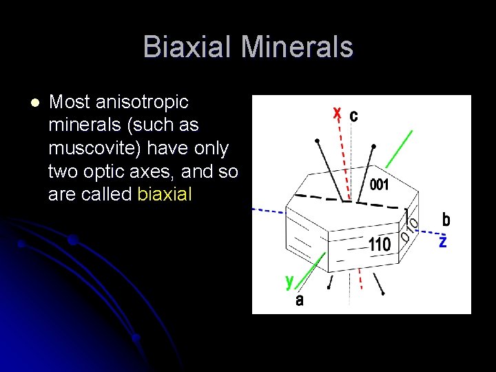 Biaxial Minerals l Most anisotropic minerals (such as muscovite) have only two optic axes,