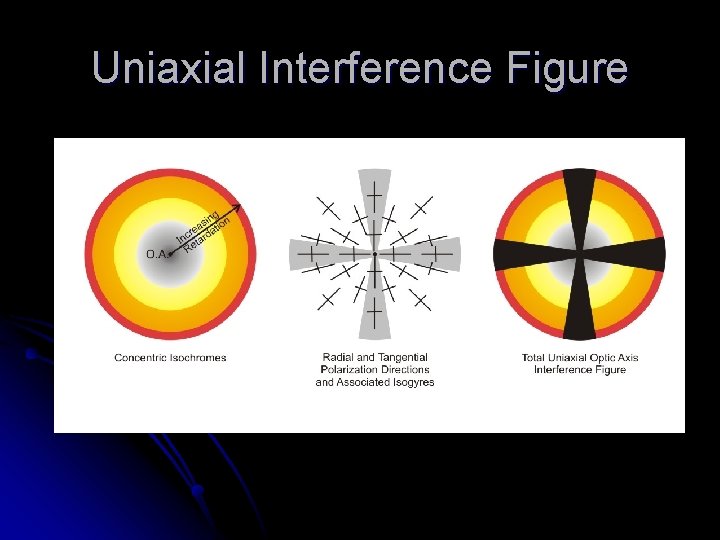 Uniaxial Interference Figure 