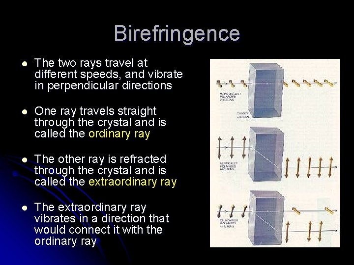 Birefringence l The two rays travel at different speeds, and vibrate in perpendicular directions