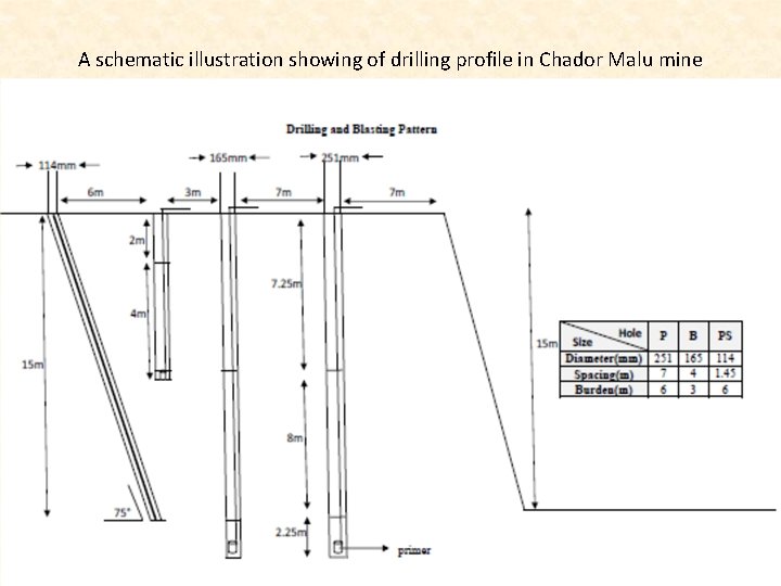 A schematic illustration showing of drilling profile in Chador Malu mine 