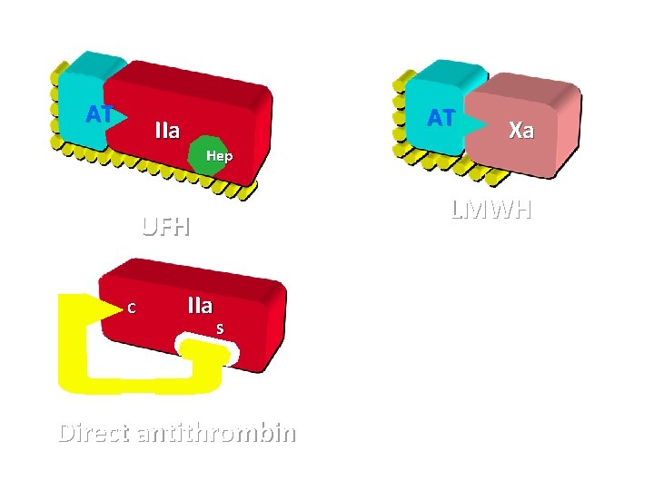 AT AT IIa Hep LMWH UFH C IIa Xa S Direct antithrombin 