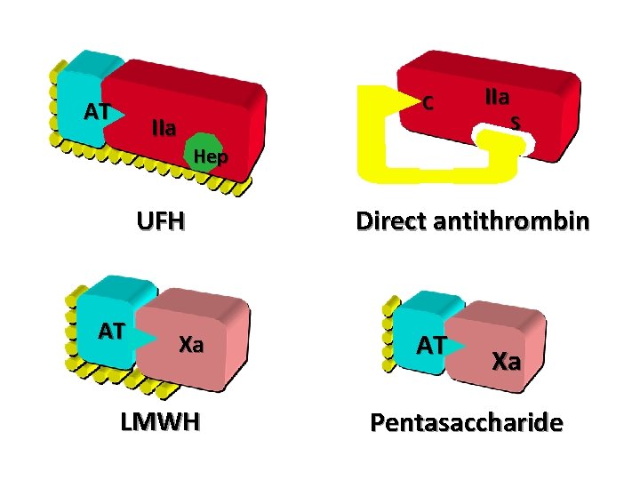 AT C IIa S Hep UFH AT IIa Xa LMWH Direct antithrombin AT Xa