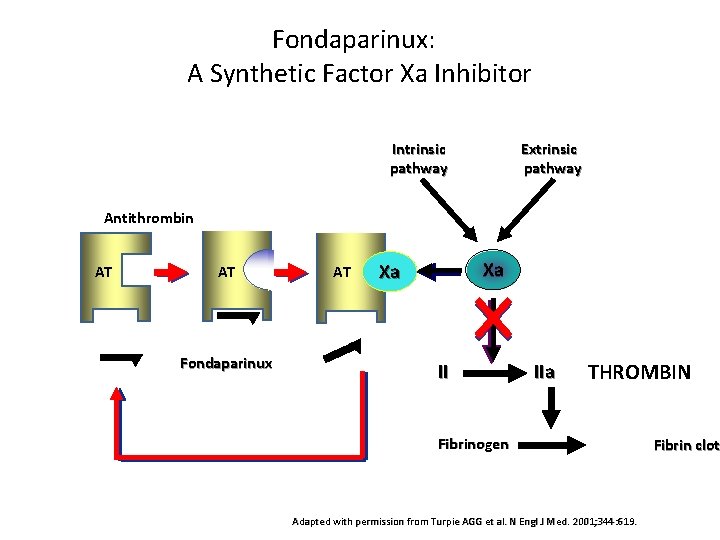 Fondaparinux: A Synthetic Factor Xa Inhibitor Intrinsic pathway Extrinsic pathway Antithrombin AT AT Fondaparinux