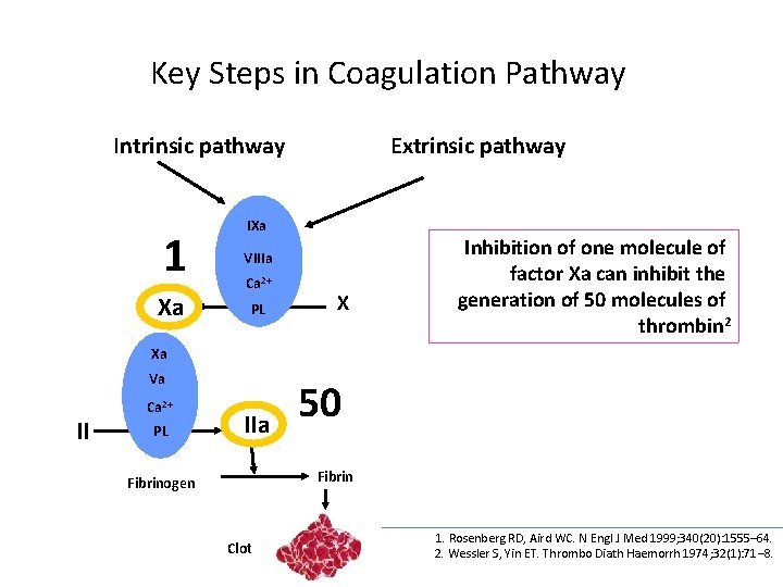 Key Steps in Coagulation Pathway Intrinsic pathway Extrinsic pathway IXa 1 VIIIa Xa PL