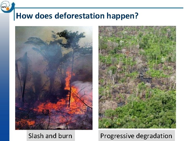 How does deforestation happen? Slash and burn Progressive degradation 
