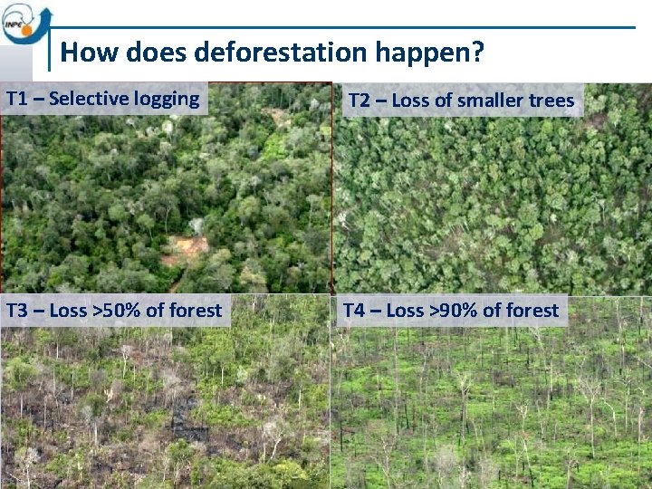 How does deforestation happen? T 1 – Selective logging T 2 – Loss of