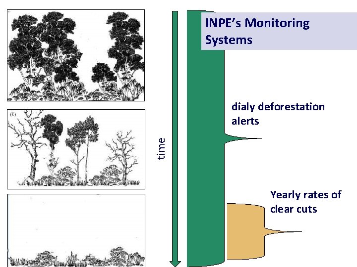 INPE’s Monitoring Systems time dialy deforestation alerts Yearly rates of clear cuts Floresta 