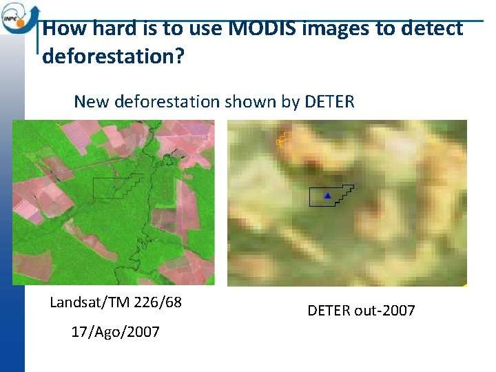 How hard is to use MODIS images to detect deforestation? New deforestation shown by
