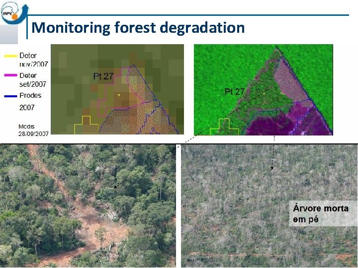 Monitoring forest degradation (S 12, 270 ; W 54, 130) 