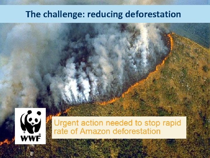 The challenge: reducing deforestation 