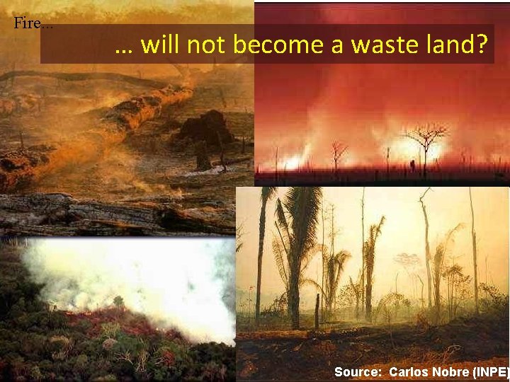 Fire. . . … will not become a waste land? Source: Carlos Nobre (INPE)