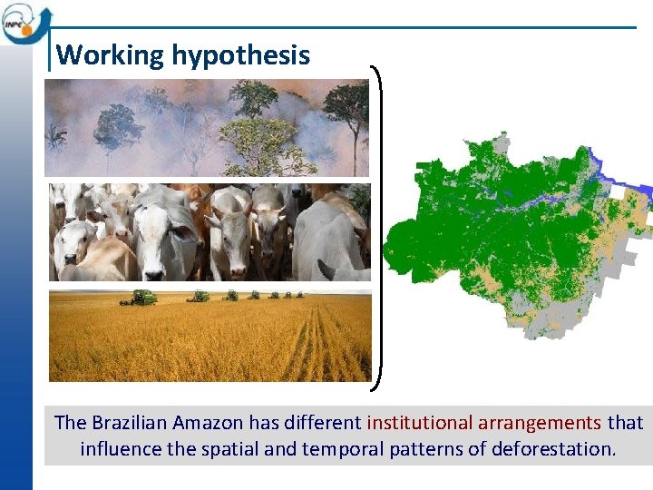 Working hypothesis The Brazilian Amazon has different institutional arrangements that influence the spatial and