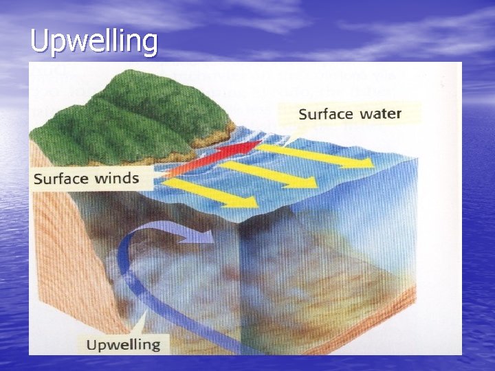 Upwelling 