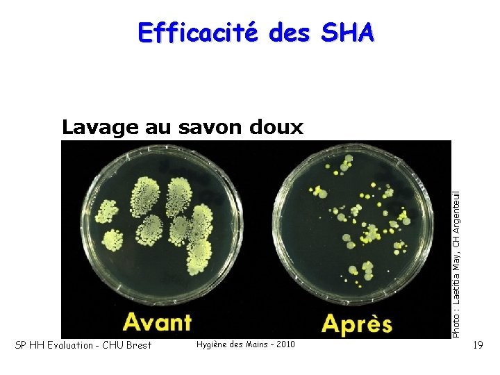 Efficacité des SHA Photo : Laetitia May, CH Argenteuil Lavage au savon doux SP