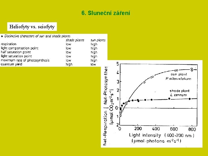6. Sluneční záření Heliofyty vs. sciofyty 