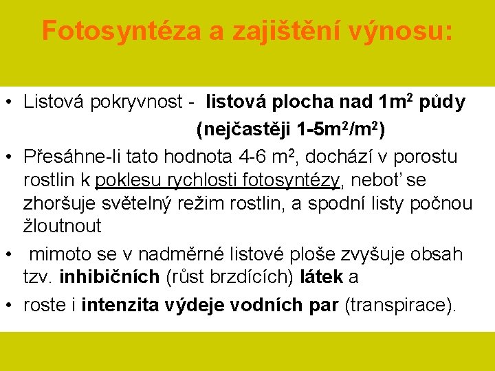 Fotosyntéza a zajištění výnosu: • Listová pokryvnost - listová plocha nad 1 m 2