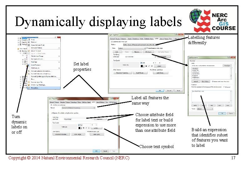 Dynamically displaying labels Labelling features differently Set label properties Label all features the same