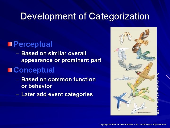 Development of Categorization Perceptual – Based on similar overall appearance or prominent part –