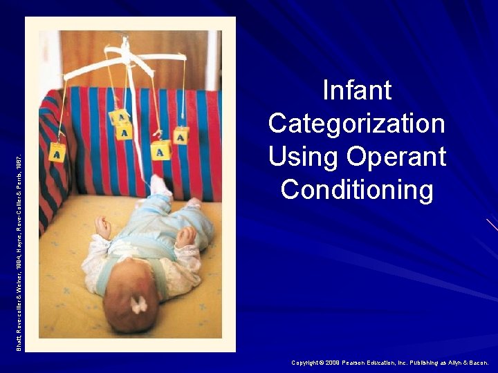 Bhatt, Rove-collier & Weiner, 1994; Hayne, Rove-Collier & Perris, 1987. Infant Categorization Using Operant