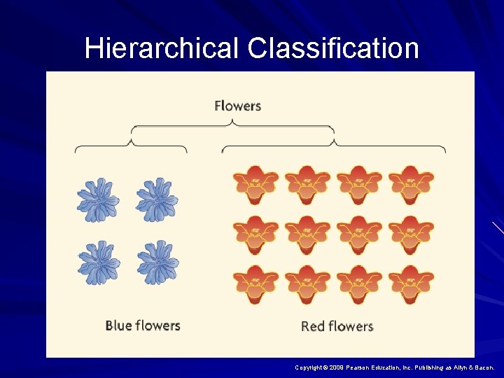 Hierarchical Classification Copyright © 2009 Pearson Education, Inc. Publishing as Allyn & Bacon. 