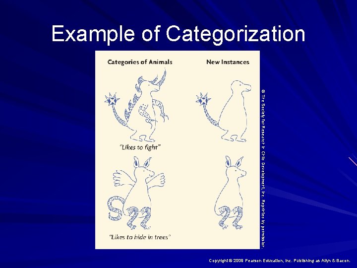 Example of Categorization © The Society for Research in Child Development, Inc. Reprinted by