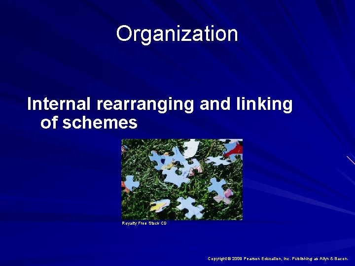 Organization Internal rearranging and linking of schemes Royalty Free Stock CD Copyright © 2009