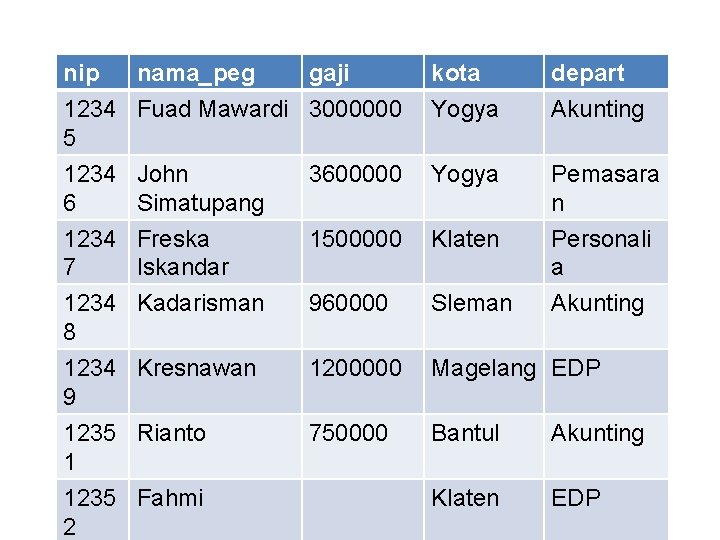 nip 1234 5 1234 6 nama_peg gaji Fuad Mawardi 3000000 kota Yogya depart Akunting