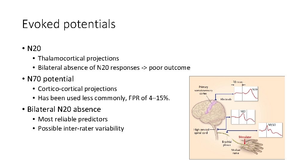 Evoked potentials • N 20 • Thalamocortical projections • Bilateral absence of N 20 Evoked potentials • N 20 • Thalamocortical projections • Bilateral absence of N 20