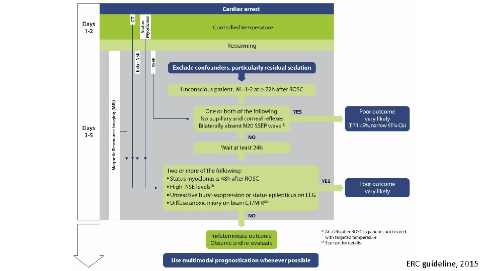 ERC guideline, 2015 ERC guideline, 2015