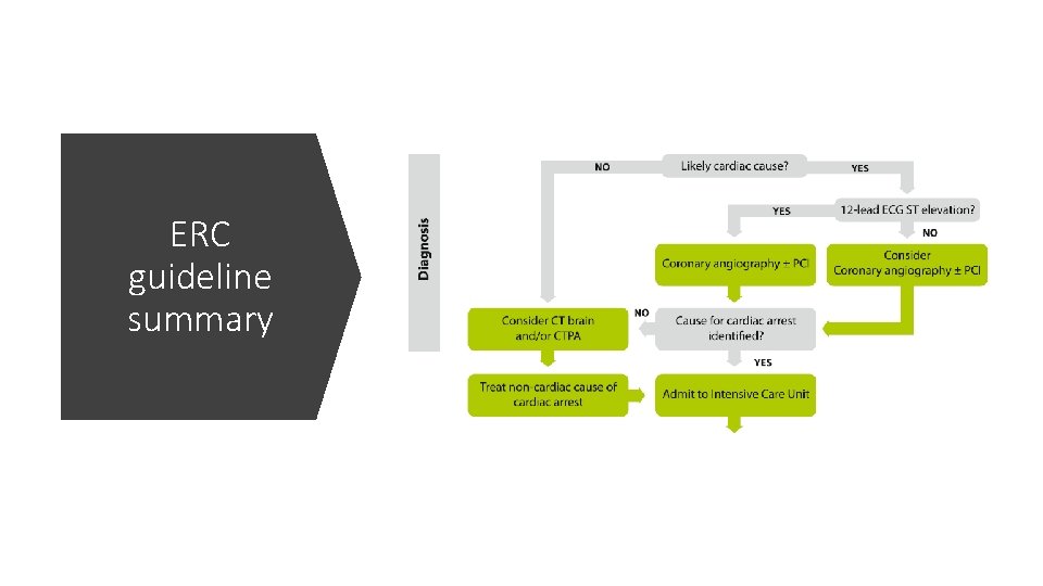 ERC guideline summary ERC guideline summary